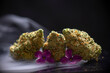 Dried cannabis buds isolated over black background