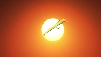 Wall Mural - 3d rendering chinese dragon move pass camera to the full sun with heat haze effect.