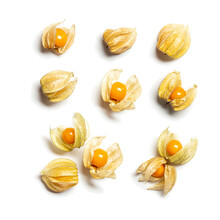Collection Of Physalis Berries Or Golden Berry Isolated On White Background. Physalis Fruit Food