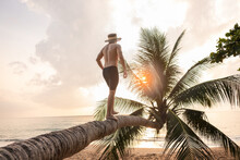 Man Walking On A Slant Coconut Palm