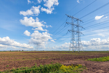 Wall Mural - High voltage lines and power pylons in a flat agricultural landscape on a sunny day with cumulus clouds in the blue sky. It is springtime and the yellow rapeseed is already blooming on the edge.