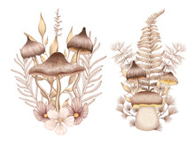 Fantasy Forest Bouquets, Beige Woodland Botanica, Toadstool, Fern, Mushrooms, Mystic Mushrooms Combination, Magical Forest Composition