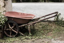 Old Wheelbarrow In The Garden