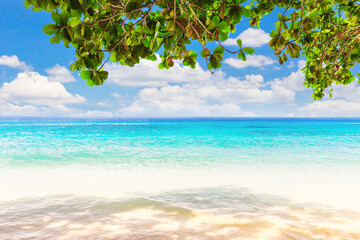 Wall Mural - Beautiful beach and blue sky in Similan islands, Thailand. Vacation holidays background.