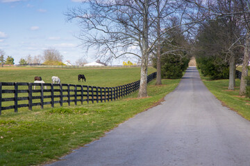 Wall Mural - Early spring countrside landscape.