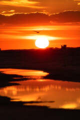 Wall Mural - Vibrant orange sunset reflecting in a tidal pool on the beach. Jones Beach, Long Island New York (soft selective focus)