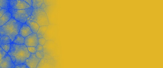 Poster - abstract colorful background