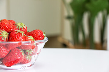 Wall Mural - A glass bowl of juicy red strawberries in the foreground on a white table, a Giant White Bird of Paradise plant (Strelitzia nicolai) out of focus in background, showing healthy lifestyle