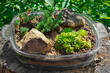 mini skalniak w szklanym naczyniu, ogrodowy recykling, mini rockery in a glass pot, garden recycling