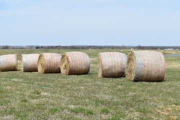 Poster - Hay Bales in a Farm Field