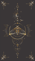 Wall Mural - mystic celestial background with golden outline insect, stars, moon phases, crescents and frame with