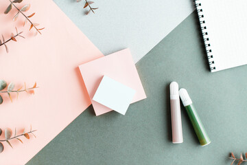 Wall Mural - Blank paper for writing, notepad, felt-tip pens and eucalyptus branches on a colored background. Top view.