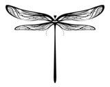 Fototapeta Motyle - Black ornate dragonfly silhouette on white background. Vector monochrome illustration for decoration, icon, emblem, mascot, insignis. Stained-glass window style