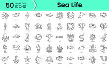 Set Of Sea Life Icons. Line Art Style Icons Bundle. Vector Illustration
