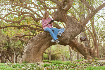 young woman browsing tablet while sitting on a tree trunk in a park