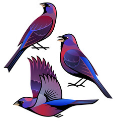 Sticker - Stylized Bird - Varied Bunting