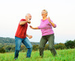 © Lumos sp - woman man outdoor senior couple happy elderly training active exercise stretching fitness  retirement together love dancing nature mature