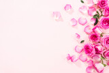 Fototapeta Storczyk - Pink roses