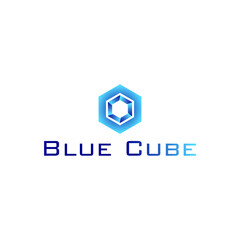 Wall Mural - Abstract blue hexagon logo applied for digital product boutique company logo design