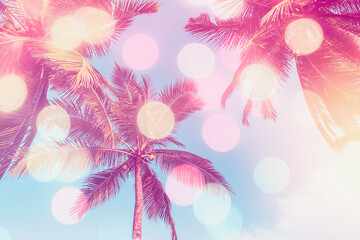 Wall Mural - copy space of silhouette tropical palm tree on sunset sky with bokeh light leak abstract background.