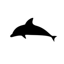 Realistic And Simple Illustration Of Dolphin Silhouette.