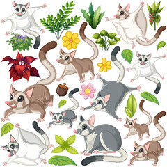 Wall Mural - many colors of sugar gliders