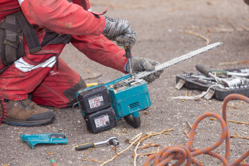 Wall Mural - Tree surgeon. Working with a chainsaw. Sawing wood with a chainsaw.