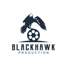 Black Hawk With Film Equipments. Good Logo Design For Movie Maker