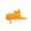© Irina Anashkevich - Ginger cute cat lies on an isolated background. Vector cartoon illustration