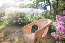 Wicker Chair In Garden In Summer On Background Of Flowers