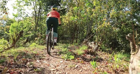 Wall Mural - Asian woman mountain biking on spring forest trail 