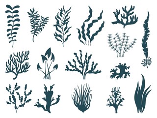 Wall Mural - Sea plants silhouettes. Seaweed aquarium, reef seaweeds corals. Marine weeds or algae. Ocean nature decorative elements, isolated neat vector set