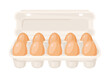 Illustration of brown chicken eggs in carton pack. Image for food and agricultural industries.