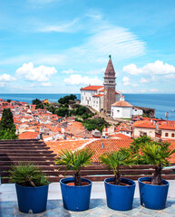 Wall Mural - flowerpots with palm trees on the background landscape with a spire of church spire and tiled roofs 