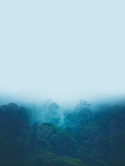 Wall Mural - vertical banner background of tropical forest landscape scene for using in concept of environmental 