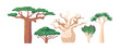 Tropical and Subtropical Rainforest Biome, African Vegetation Baobab or Adansonia, Quiver Tree or Aloidendron Dichotomum