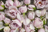 Fototapeta Tulipany - Pink roses background. Close up. Top view
