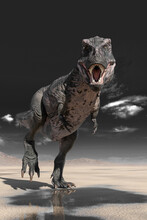 Tyrannosaurus Rex Standing Up On Desert