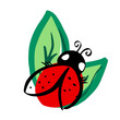 Cute ladybug or ladybird on a green leafs. Springtime. Nice design for kids clothes, packaging and stationery.