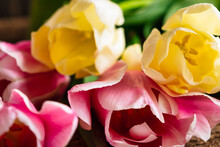 Close-up Of A Bouquet Of Yellow And Pink Tulips On The Dark Wooden Background