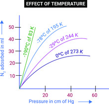 Effect Of Temperature