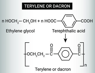 Wall Mural - Structure of Terylene or dacron