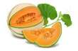 Cantaloupe melon isolated on white background with clipping path and full depth of field,