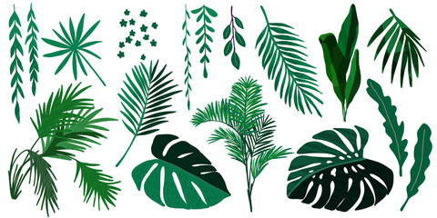 Sticker - Tropical leaves collection, hand drawn vector set