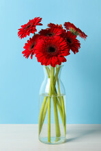 Bouquet Of Beautiful Red Gerbera Flowers In Glass Vase On Light Blue Background