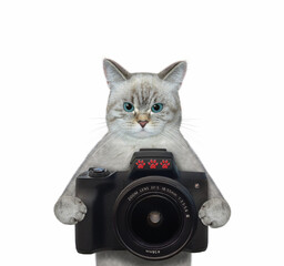 Canvas Print - An ashen cat photographer holds a black photo camera. White background. Isolated.