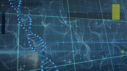 Poster - Animation of spinning dna strand over grid