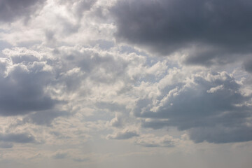 Wall Mural - clouds in the sky