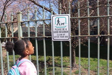 Kid Reading Word On Sign Please Be A Good Neighbor Clean Up After Your Dog