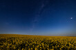© Austockphoto - flowering canola at night under starry sky